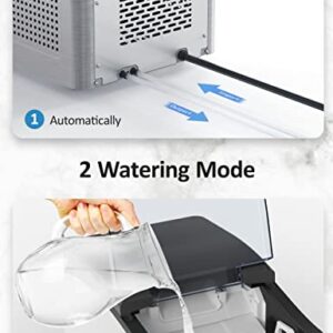 Nugget Ice Maker Countertop, 40lbs/Day, Pebble Ice Maker Machine with Ice Scoop and Basket, Self-Cleaning, Auto Water Refill, Touch Button, Ice Coffee and Cocktails for Indoor/Outdoor