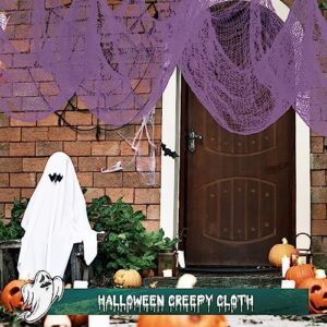 Riare 6 Pack Halloween Creepy Cloth 30 x 75 Inch- Spooky Scary Fabric Black Gauze Cloth for Halloween Party Haunted House Home Wall Doorway Outdoors Decoration(2 Black, 2 Purple, 2 White)