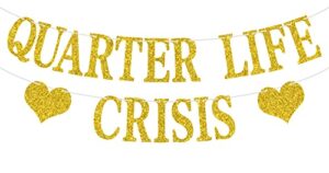 quarter life crisis banner, fun birthday bunting sign, happy 25th/30th birthday party decoration supplies, birthday party backdrop, gold glitter