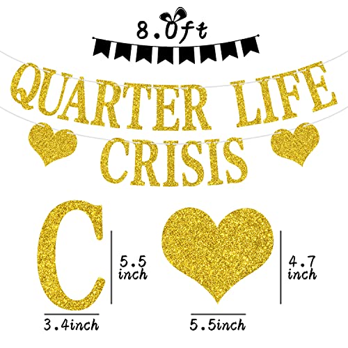 Quarter Life Crisis Banner, Fun Birthday Bunting Sign, Happy 25th/30th Birthday Party Decoration Supplies, Birthday Party Backdrop, Gold Glitter