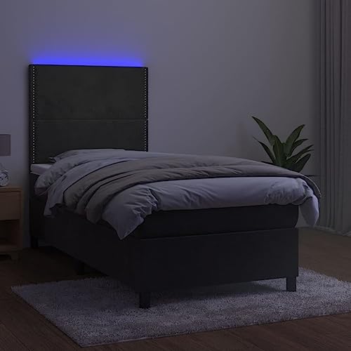 vidaXL Box Spring Bed with Mattress and LED Bedroom Upholstered Single Bed Frame Base Mattress Protector Foam Topper Dark Gray Twin XL Velvet