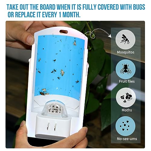 Flying Insect Trap, Indoor Plug-in Fly Trap for Home, Mosquito Killer Indoor Gnat Moth Catcher with Night UV Light, Mosquito Attractant Fly Bug Zapper for Home, Office (1 x Trap & 4 x Refills)