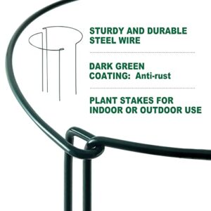 Howise 14 Pack Tall Plant Support Stakes, 10" Wide x 24" High Metal Peony Cages and Supports Rings, Plant Stakes for Outdoor Indoor Plants, Tomato, Hydrangea, Flower Garden Plant Support