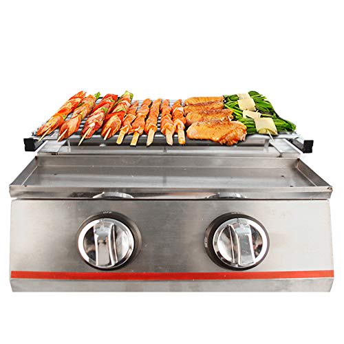 LPG Gas BBQ Grill, 2800Pa Commercial LPG Gas Stove Outdoor BBQ Tabletop Cooker, Stainless Steel Outdoor Grill Multi-Function Barbecue Camping Party Picnic Cookware Sliver(2 Burners)