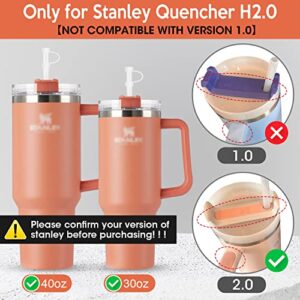 Winceed 18pcs Silicone Spill Stopper Set for Stanley Quencher H2.0 Flowstate Tumbler 40oz 30oz, Accessories for Stanley Cup with Straw Cover Cap, Square Spill Stopper, Round Leak Proof Stopper