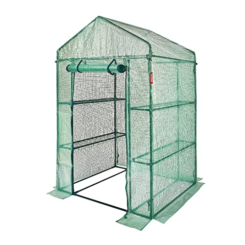 VEVOR Walk-in Green House, 55.5 x 29.3 x 80.7 inch, Portable Greenhouse with Shelves, High Strength PE Cover with Roll-up Zipper Door and Steel Frame, Set Up in Minutes, for Planting and Storage