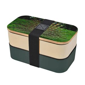 koolr peacocks print bento box adult lunch box with 2 compartments stackable for work picnic leak proof bento box