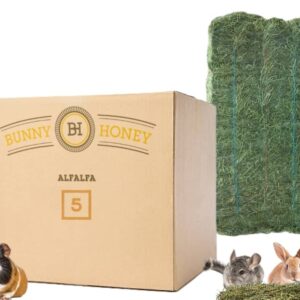 Bulk Fresh Alfalfa Hay 80oz by Bunny Honey - USDA Organic Hay for Small Select Pets, Guinea Pigs, Rabbits, Hamsters - Best Cut & Delivered Fresh - Promotes Healthy Digestive Function - 5 Pound