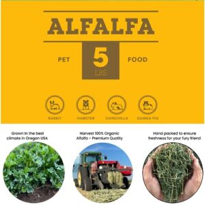 Bulk Fresh Alfalfa Hay 80oz by Bunny Honey - USDA Organic Hay for Small Select Pets, Guinea Pigs, Rabbits, Hamsters - Best Cut & Delivered Fresh - Promotes Healthy Digestive Function - 5 Pound