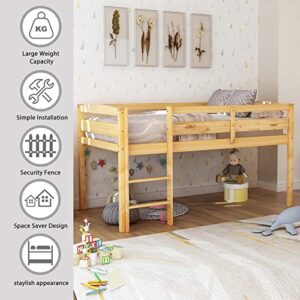 OTRIEK Twin Size Low Wood Loft Bed Frame with Ladders and Guard Rails for Boys Girls and Junior, No Box Spring Needed, Under Bed Storage (Walnut)