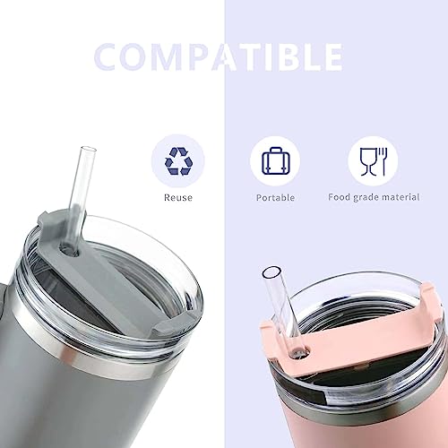 SOEOR Replacement Straw for Stanley 40 oz, 30 oz Cup Tumbler, Set of 8 Reusable Straws with Two Cleaning Brush, straw for 30oz,40oz Tumbler Cup