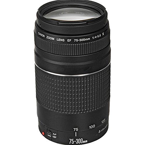 Canon EOS R7 Mirrorless Camera RF-S 18-45mm f/4.5-6.3 is STM + EF 75-300mm III + RF 50mm f/1.8 STM + 420-800mm HD Lenses + 2X 64GB Memory Cards, TTL Flash, Extra Battery, Tripod & More (Renewed)