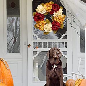 DDHS Fall Wreaths for Front Door, 20” Hydrangea Wreath for Wall Window Party Wedding Decor Indoor Outdoor, Artificial Fall Door Wreath for Thanksgiving Decorations