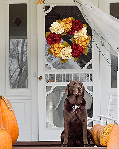 DDHS Fall Wreaths for Front Door, 20” Hydrangea Wreath for Wall Window Party Wedding Decor Indoor Outdoor, Artificial Fall Door Wreath for Thanksgiving Decorations