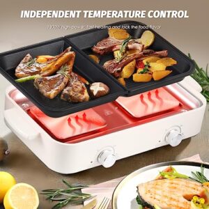 Moongiantgo Electric Indoor Hot Pot Grill, 5 Removable Plates Dual Temperature Control, Multipurpose Hotpot Pot Electric with Grill, Perfect for Korean BBQ, Takoyaki, Pancakes, Smokeless, 110V