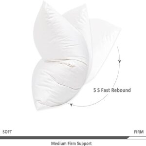 Botduck Goose Down Feather Pillows Standard Size Set of 2 Pack Hotel Collection Bed Pillow for Sleeping Medium Firm Support for Side Stomach & Back Sleepers, 20x26 Inch