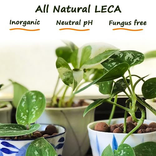 5LB LECA for Plants, 4-16mm Small Expanded Clay Pebbles for Hydroponic Growing, Organic Lecca Balls for Indoor Pots Drainage, Aquaponics, Come with Gloves