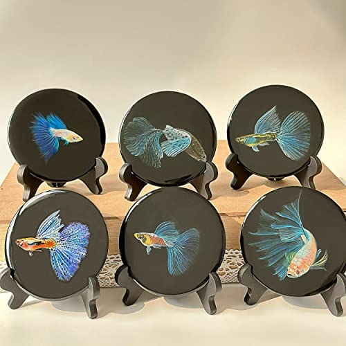 Hand-Painted Betta Fish on Resin Disc - Unique & Trending Ornaments - Office & Aquarium Accesory - Collectibles & Décor (Blind Box, Random)