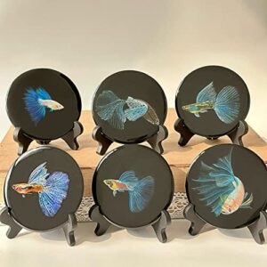 hand-painted betta fish on resin disc - unique & trending ornaments - office & aquarium accesory - collectibles & décor [kyanite collection] (blind box, random)