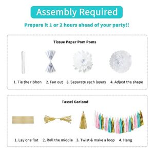 ANSOMO Teal Blue and Pink Happy Birthday Party Decorations White Blush Gold Gender Neutral Décor Supplies Balloons for Girls Women Teens Kids