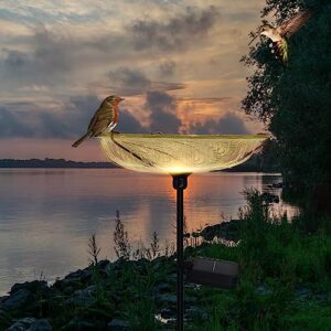 SUBOLO Bird Bath for Outdoors Solar Powered Glass Bird Bath Bowl with Metal Stake for Yard Lawn Garden Decorations, Transparent