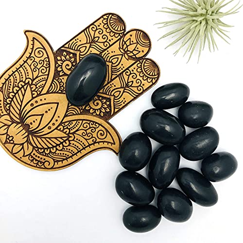 M FRANCISCO Natural Shaligram Hindu Pooja Shivlingam, Shiva, Shivling Small Beautiful Healing Stones Meditation Energy India Meditation Metaphysical Sacred Hindu Valley