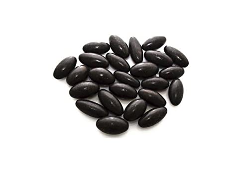 M FRANCISCO Natural Shaligram Hindu Pooja Shivlingam, Shiva, Shivling Small Beautiful Healing Stones Meditation Energy India Meditation Metaphysical Sacred Hindu Valley