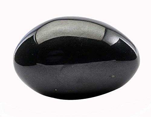 M FRANCISCO Natural Shaligram Hindu Pooja Shivlingam, Shiva, Shivling Small Beautiful Healing Stones Meditation Energy India Meditation Metaphysical Sacred Hindu Valley