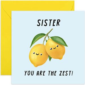 old english co. fun lemon birthday card for sister - 'you are the zest' congratulations card for her - thank you card for sister from brother - well done, new job, exam | blank inside envelope