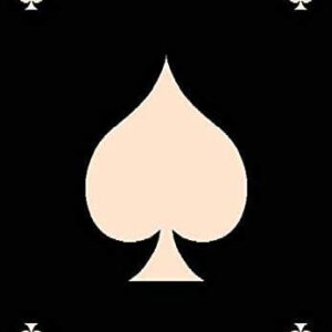 Ace of Spades Playing Card Poker Retro Casino Las Vegas Man Cave Area Rug for Living Room Bedroom Playroom Dining Room Kids Playing Mat (5’ 3” X 7’ 3”)