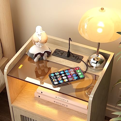 Small Nightstand with Power Outlet and LED Lights, Side End Table with Storage Cabinet, Modern Bedside Table for Bedroom, Living Room (Natural)