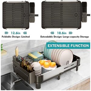 YKLSLH Expandable Dish Drying Rack Dish Racks for Kitchen Counter, Space Saving Dish Rack,12.6"-18.6" Expandable Drying Rack with Drainboard, Utensil Holder - Black