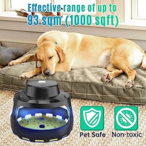 X-PEST Flea Traps for Inside Your Home, USB Rechargable Flying Insect Trap Indoor for Fleas Gnats Flies Moth Mites Bugs Fruit Flies Mosquitoes with 10 Refills