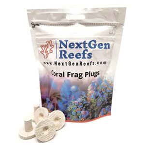 nextgen reefs® 1" ceramic natural white coral frag plugs 25pc