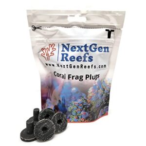 nextgen reefs® 1" ceramic hawaiian black coral frag plugs 25pc