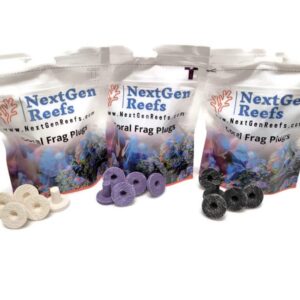 NextGen Reefs® 1" Ceramic Hawaiian Black Coral Frag Plugs 25pc