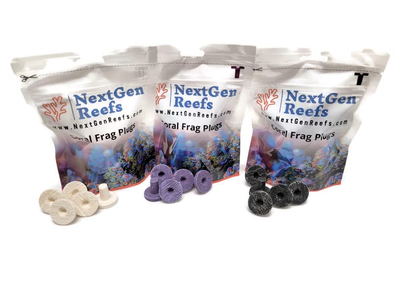 NextGen Reefs® 1" Ceramic Hawaiian Black Coral Frag Plugs 25pc