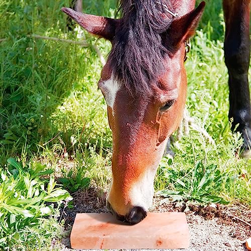 Fabbay 8 Pcs Animal Lick Salt Bulk Himalayan Salt Block Pink Salt Lick Brick Long Lasting Compressed Minerals Block for Animals, Horses, Deer, Cattle, Sheep, and Other Livestock