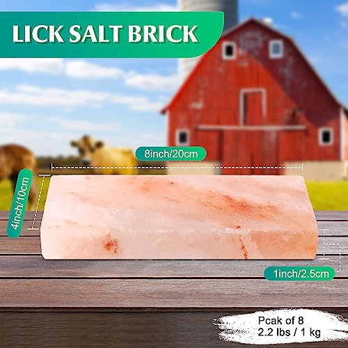 Fabbay 8 Pcs Animal Lick Salt Bulk Himalayan Salt Block Pink Salt Lick Brick Long Lasting Compressed Minerals Block for Animals, Horses, Deer, Cattle, Sheep, and Other Livestock