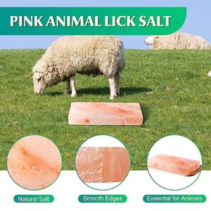 Fabbay 8 Pcs Animal Lick Salt Bulk Himalayan Salt Block Pink Salt Lick Brick Long Lasting Compressed Minerals Block for Animals, Horses, Deer, Cattle, Sheep, and Other Livestock