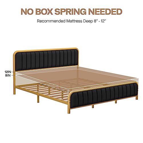 DOGIBIXO Gold Bed Frame King Size with LED Lights, Black Upholstered Bed Frame with Tufted Headboard and Footboard, Metal Slats Support, Noise-Free, No Box Spring Needed