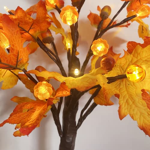 Efunly 2 Pack Fall Maple Tree with 48 LEDs Battery Operated Light Up Artificial Pumpkins Maple Acorn Tree for Fall Thanksgiving Table Harvest Home Indoor Decoration