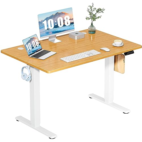 Standing Desk, Electric Standing Desk Adjustable Height, Ergonomic Adjustable Desk with Memory Preset, Computer Desk Stand Up Desk with T-Shaped Bracket Suitable for Home Office, 48 * 24-Natural