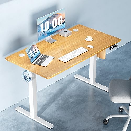 Standing Desk, Electric Standing Desk Adjustable Height, Ergonomic Adjustable Desk with Memory Preset, Computer Desk Stand Up Desk with T-Shaped Bracket Suitable for Home Office, 48 * 24-Natural