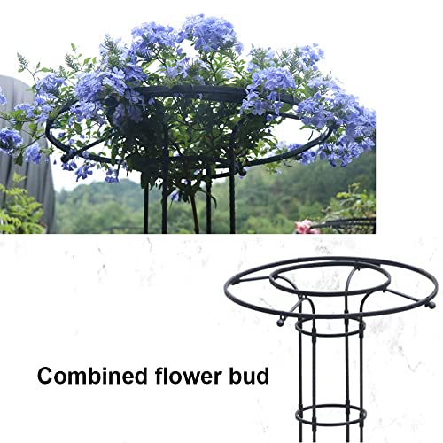 Garden Obelisk Trellis for Climbing Plants,3ft 4ft 5ft 5.9ft 6.9ft Tall Vertical Metal Umbrella Trellis Tower Frame Outdoor Flower Support Cage Climbing Stand Rack for Vines Rose (Size : 180cm/5.9ft