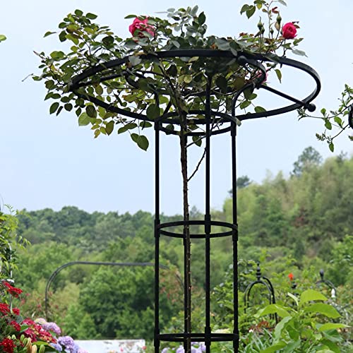 Garden Obelisk Trellis for Climbing Plants,3ft 4ft 5ft 5.9ft 6.9ft Tall Vertical Metal Umbrella Trellis Tower Frame Outdoor Flower Support Cage Climbing Stand Rack for Vines Rose (Size : 180cm/5.9ft