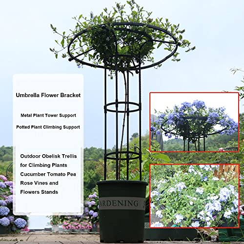 Garden Obelisk Trellis for Climbing Plants,3ft 4ft 5ft 5.9ft 6.9ft Tall Vertical Metal Umbrella Trellis Tower Frame Outdoor Flower Support Cage Climbing Stand Rack for Vines Rose (Size : 180cm/5.9ft