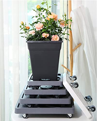 Plant Dolly Plant Tray with Wheels, Adjustable Plant Caddy with Lockable Wheels, Rolling Plant Stand, Movable Plant Pot Saucers, Indoor & Outdoor Plant Stand, 500lbs Capacity (Color : White, Size :