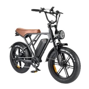 breezerider 20" fat tire electric bike for adults 750w brushless motor 48v 15ah removable battery ebike commuter electric mountain bike 7-speed dual suspension