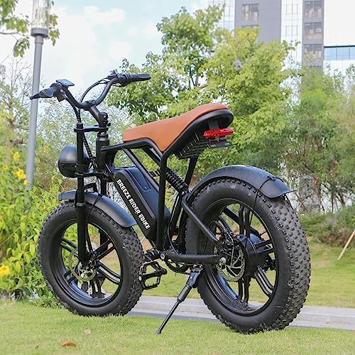 BreezeRider 20" Fat Tire Electric Bike for Adults 750W Brushless Motor 48V 15AH Removable Battery Ebike Commuter Electric Mountain Bike 7-Speed Dual Suspension